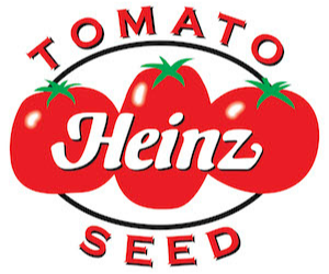 tomato farming business plan zimbabwe